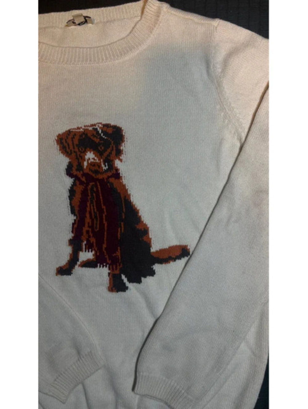 Cremieux dog sweatshirt